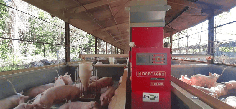 Ampliação da suinocultura no Centro-Oeste: uma oportunidade única para a robotização Ampliação da suinocultura no Centro-Oeste: uma oportunidade única para a robotização
