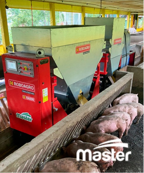 Master